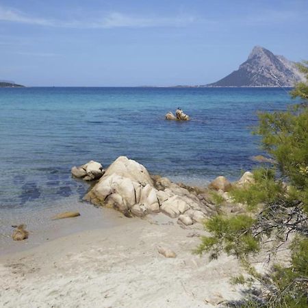 Appartamento Mare Olbia - Murta Maria Екстериор снимка